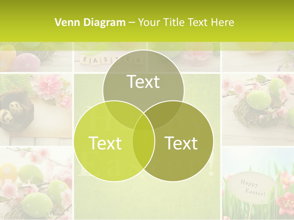 Collection Holiday Colorful PowerPoint Template