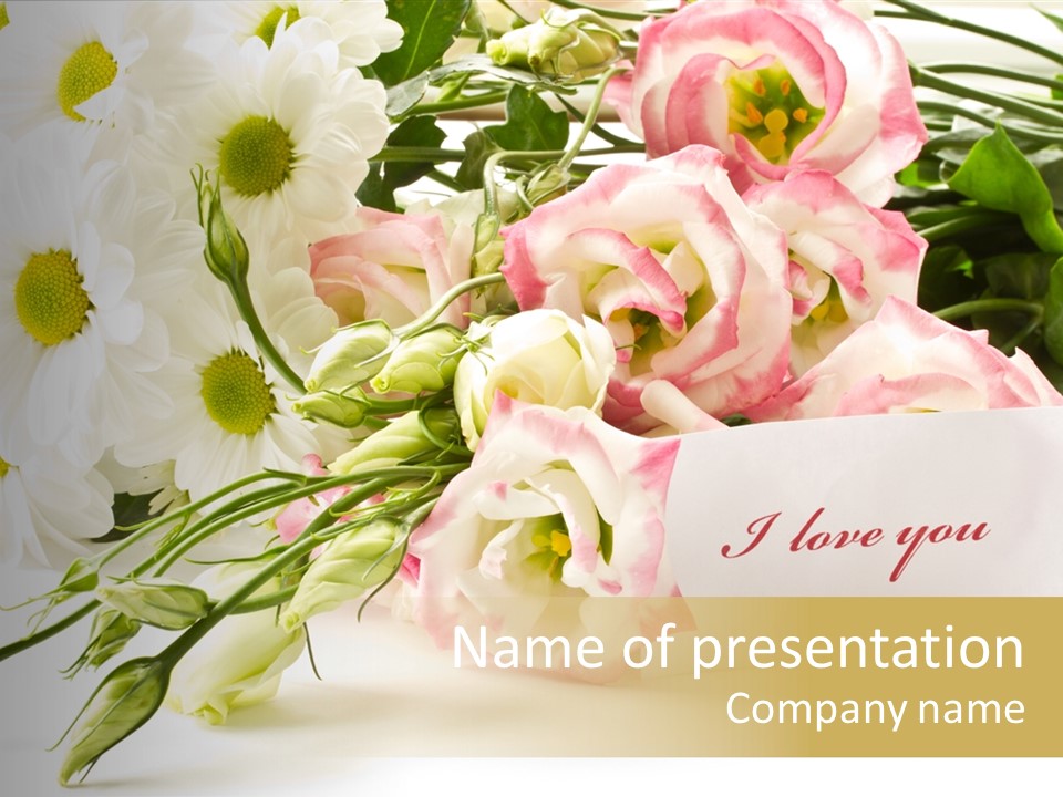 Floral Chamomile Beautiful PowerPoint Template