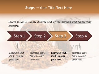 Strong Vegan Indian PowerPoint Template