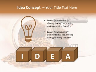 Strong Vegan Indian PowerPoint Template