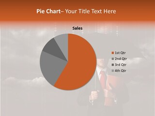 Safe Network Assurance PowerPoint Template