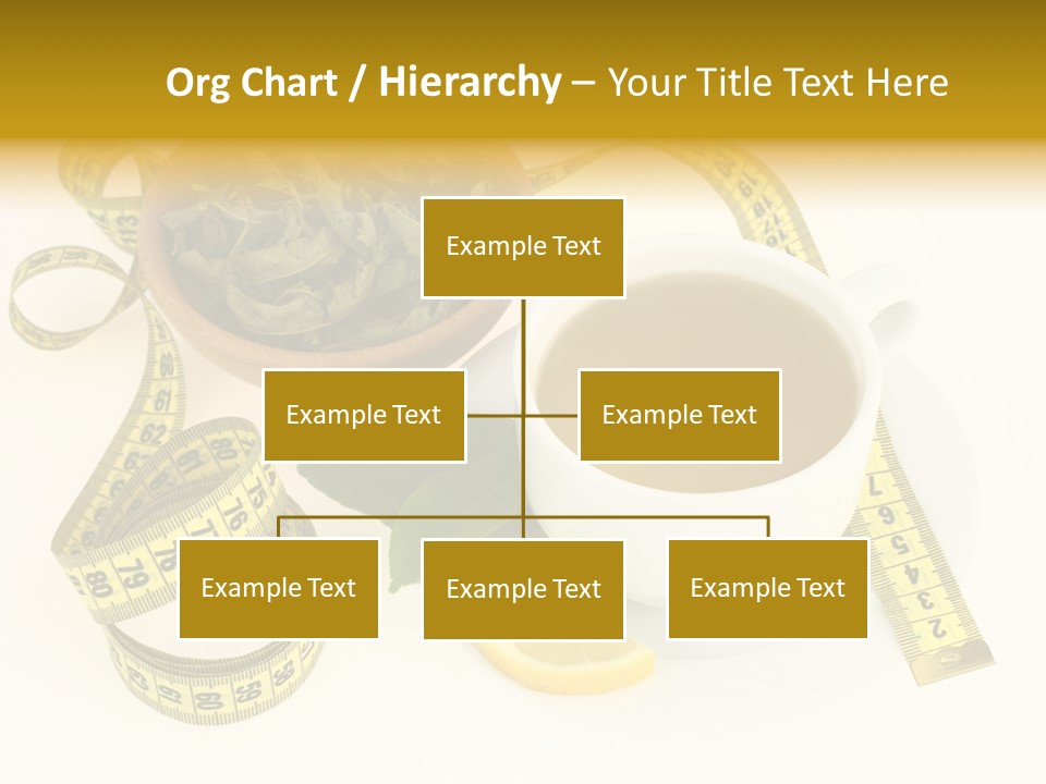 Vervains Slim Freshness PowerPoint Template