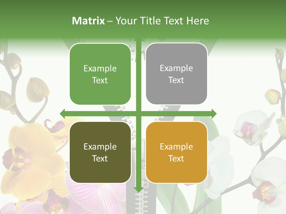 Herzlichen Gl Geburtstag Bunt PowerPoint Template