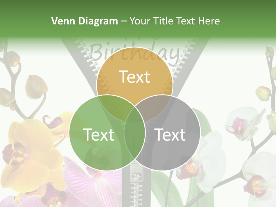 Herzlichen Gl Geburtstag Bunt PowerPoint Template