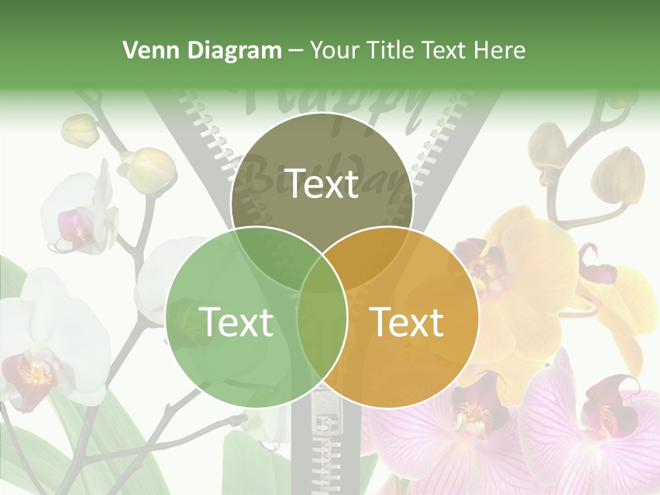 Service Festlich Geschenk PowerPoint Template