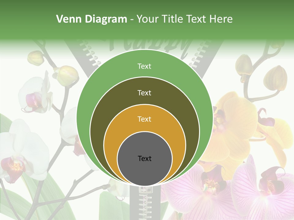 Service Festlich Geschenk PowerPoint Template