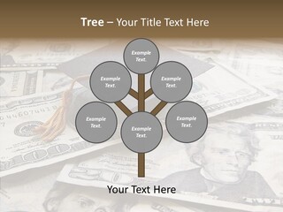 Graduate Pay University PowerPoint Template