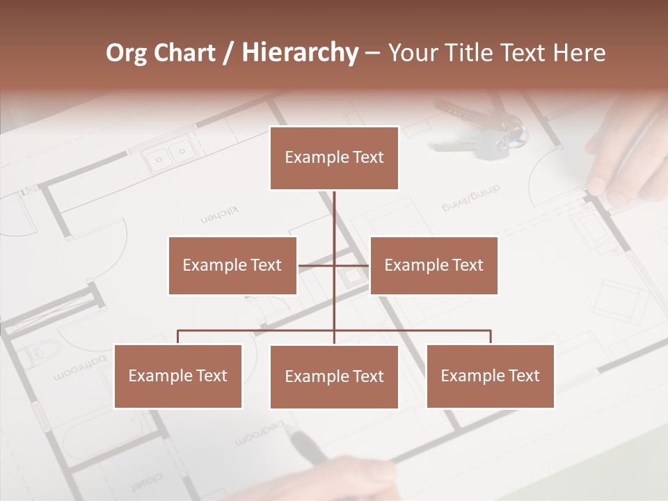 Interior Structure Person PowerPoint Template