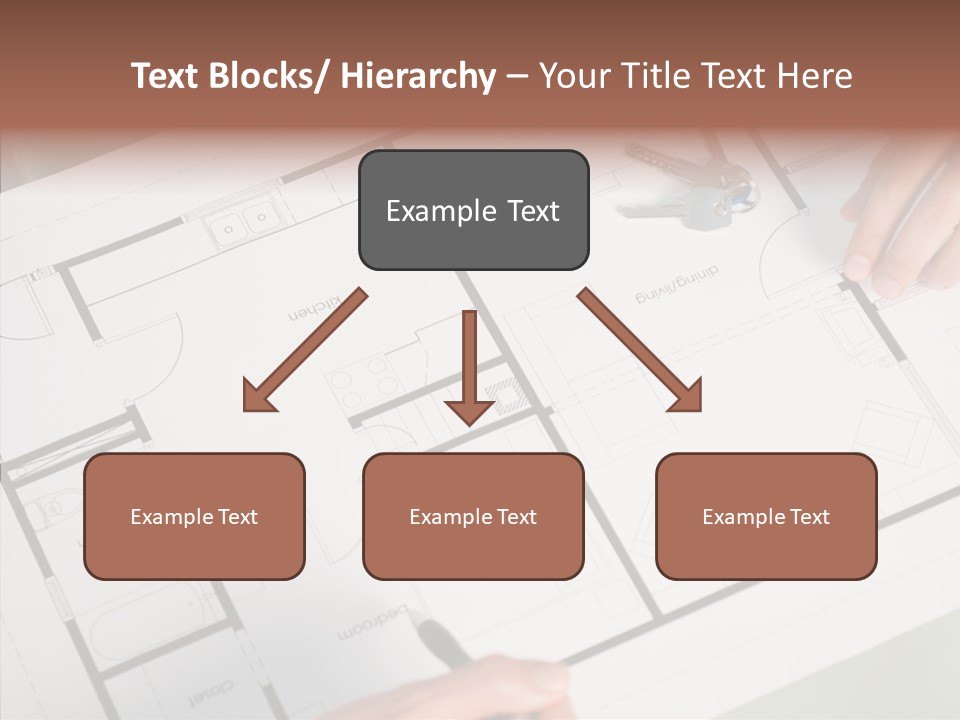 Interior Structure Person PowerPoint Template