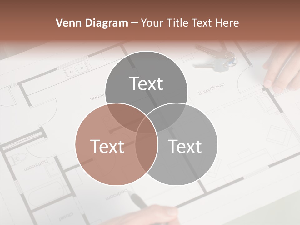 Interior Structure Person PowerPoint Template