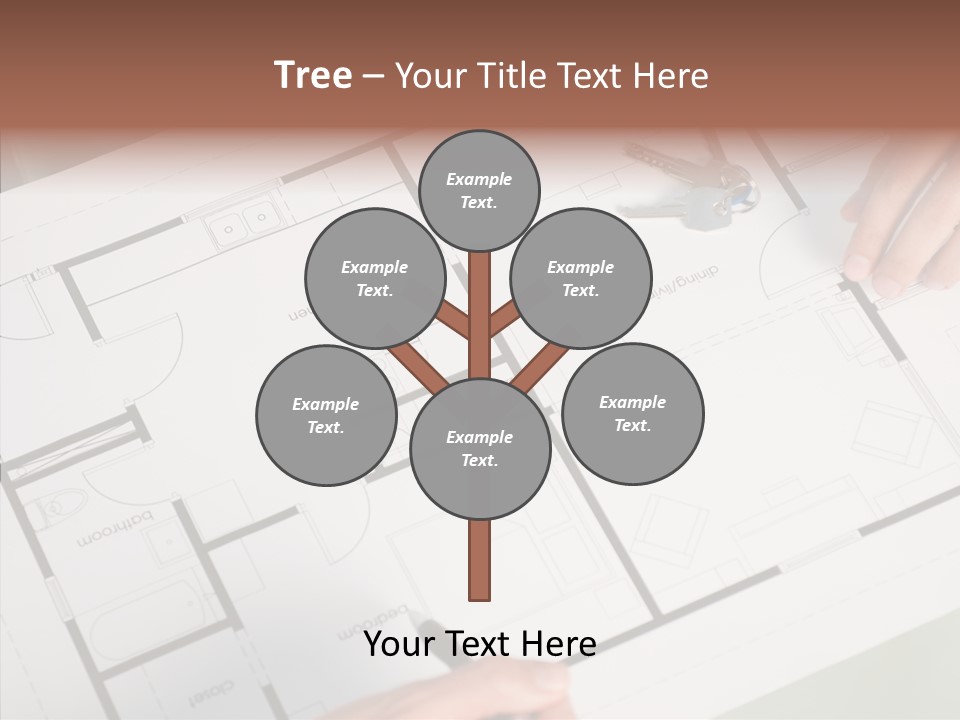 Interior Structure Person PowerPoint Template