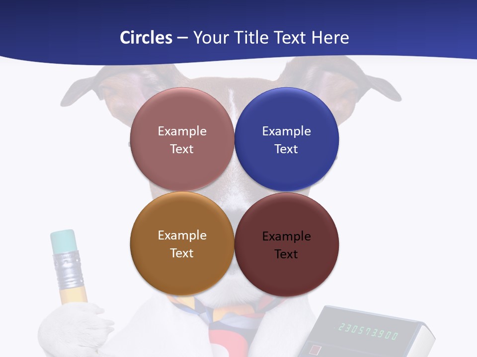 Verwaltung Humor Number PowerPoint Template