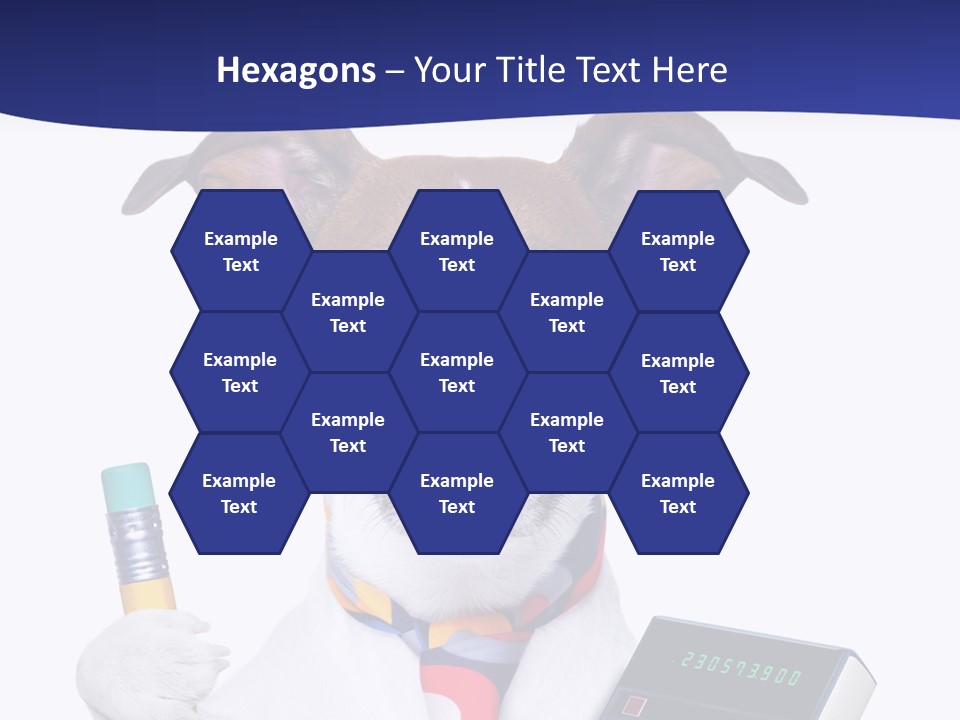 Verwaltung Humor Number PowerPoint Template