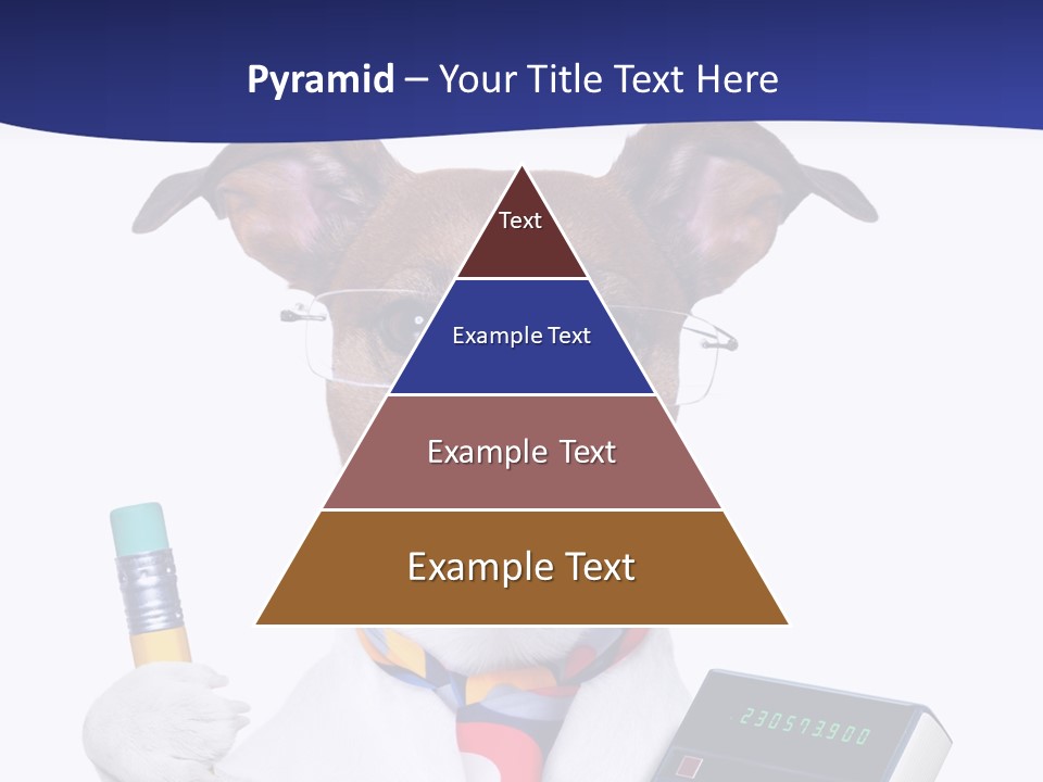Verwaltung Humor Number PowerPoint Template