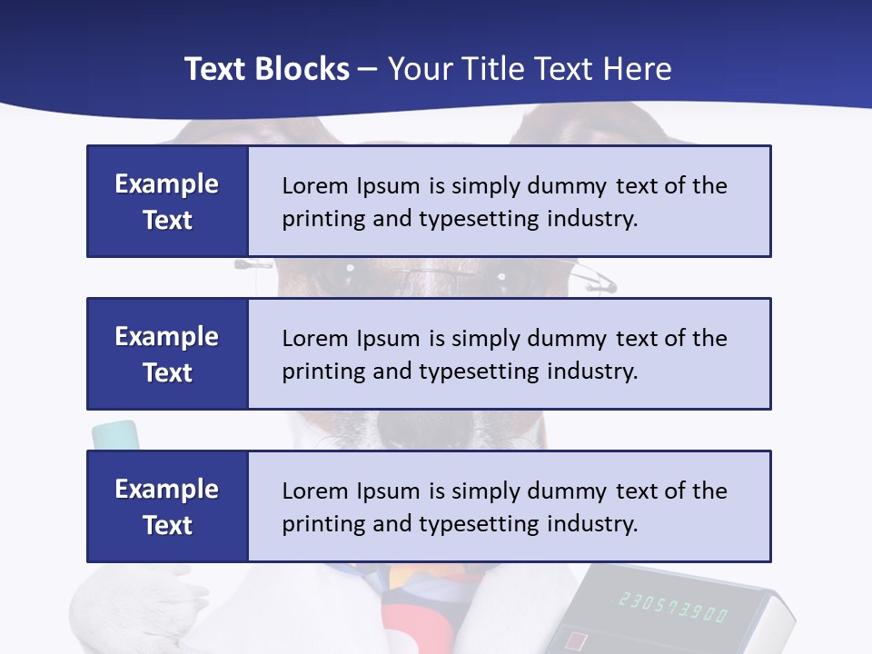 Verwaltung Humor Number PowerPoint Template