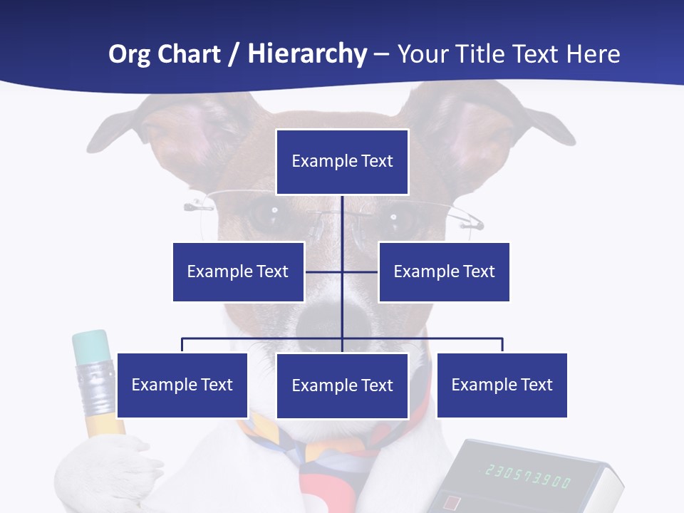 Verwaltung Humor Number PowerPoint Template
