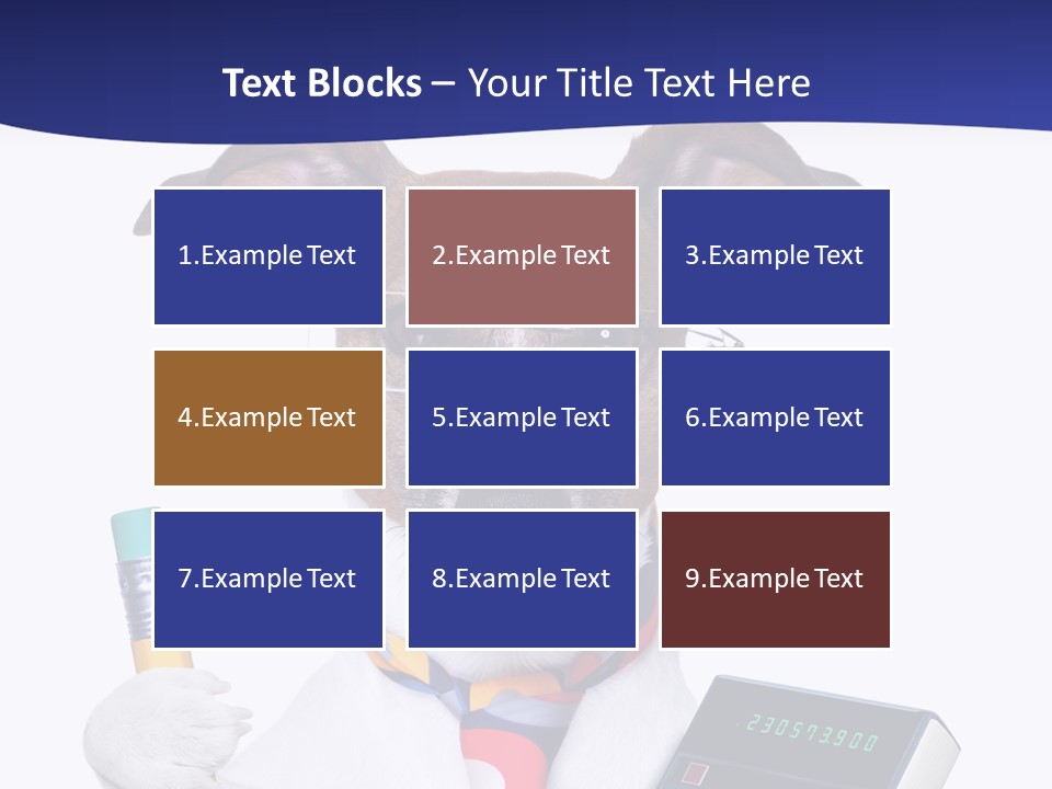 Verwaltung Humor Number PowerPoint Template