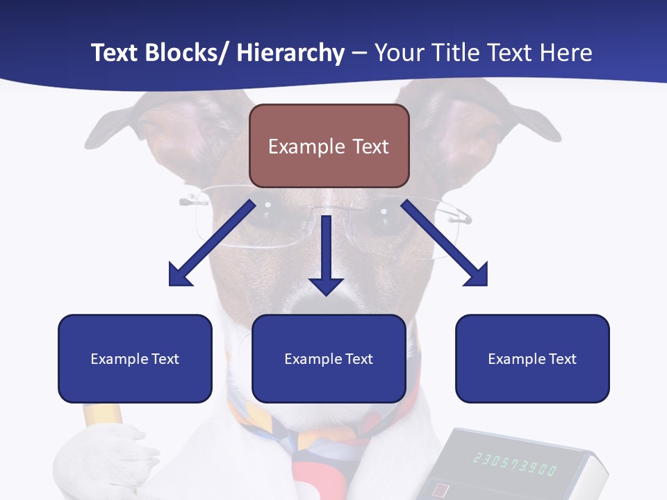 Verwaltung Humor Number PowerPoint Template