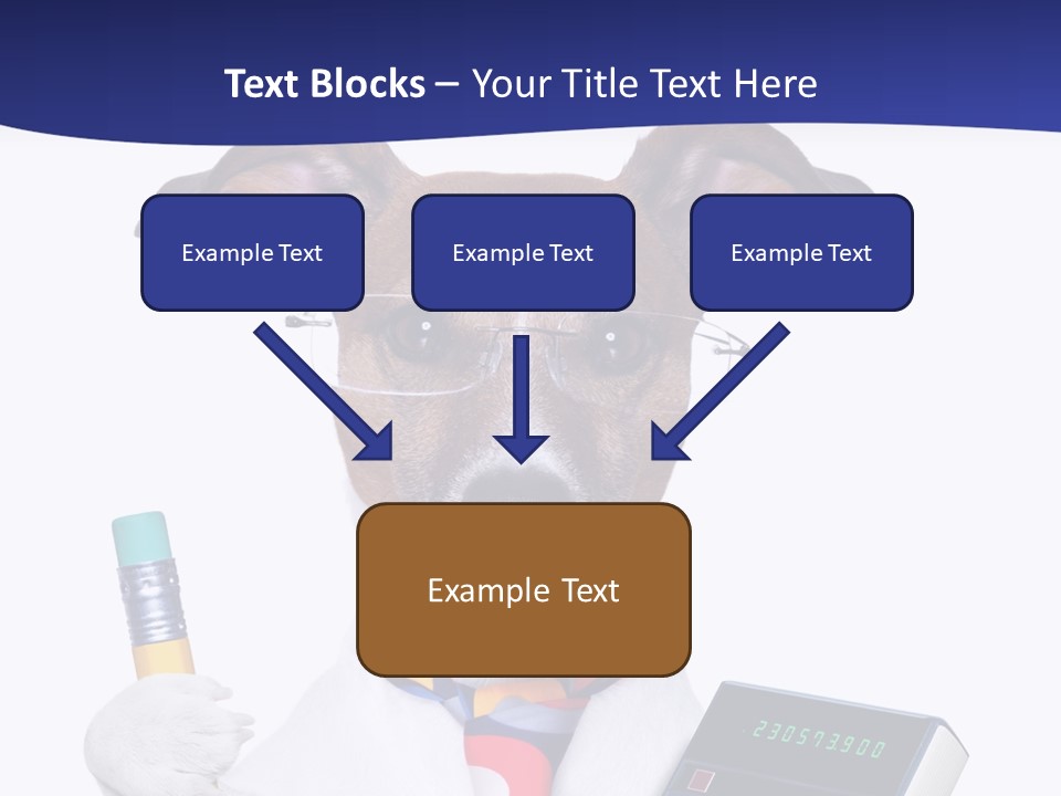 Verwaltung Humor Number PowerPoint Template