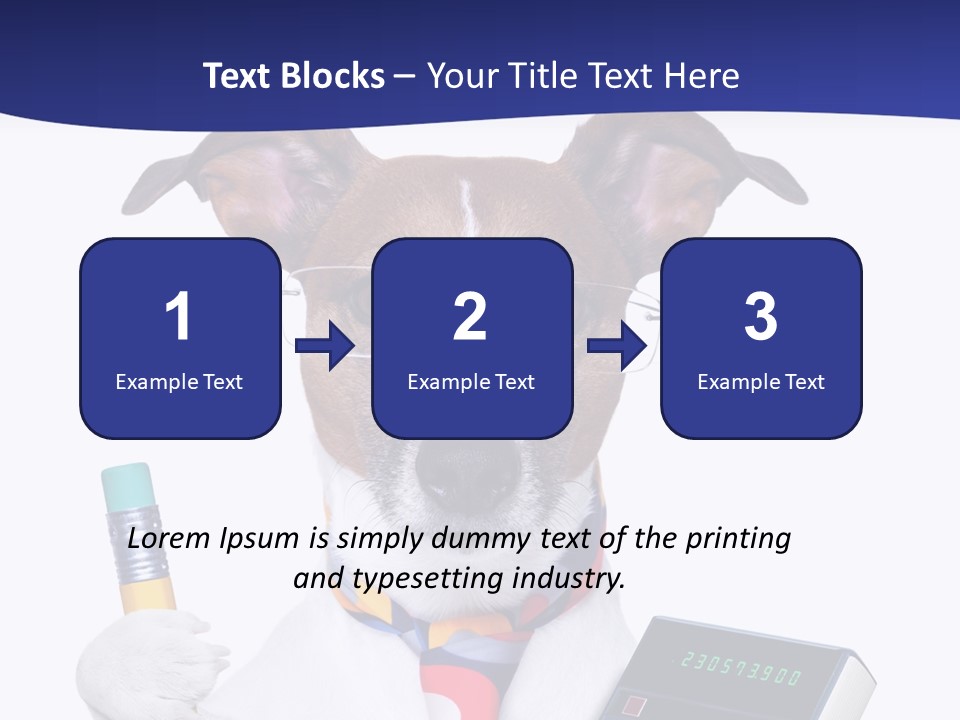 Verwaltung Humor Number PowerPoint Template