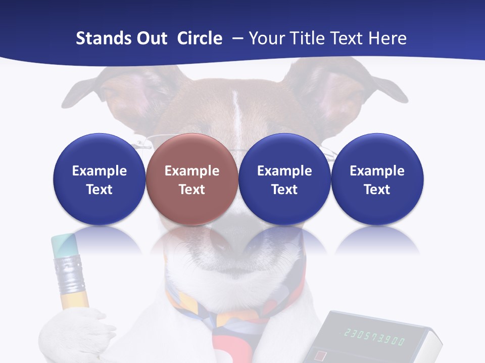 Verwaltung Humor Number PowerPoint Template