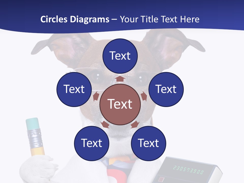 Verwaltung Humor Number PowerPoint Template