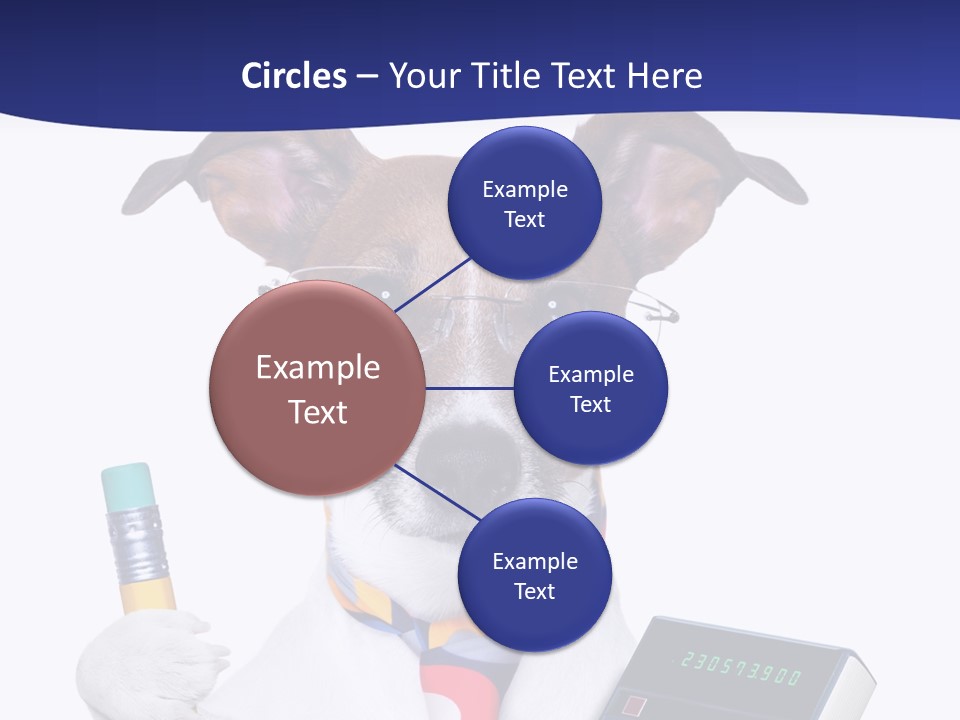 Verwaltung Humor Number PowerPoint Template