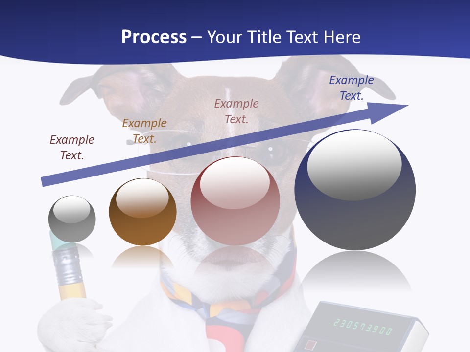 Verwaltung Humor Number PowerPoint Template