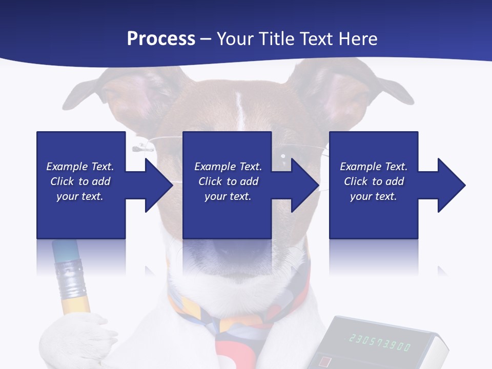 Verwaltung Humor Number PowerPoint Template