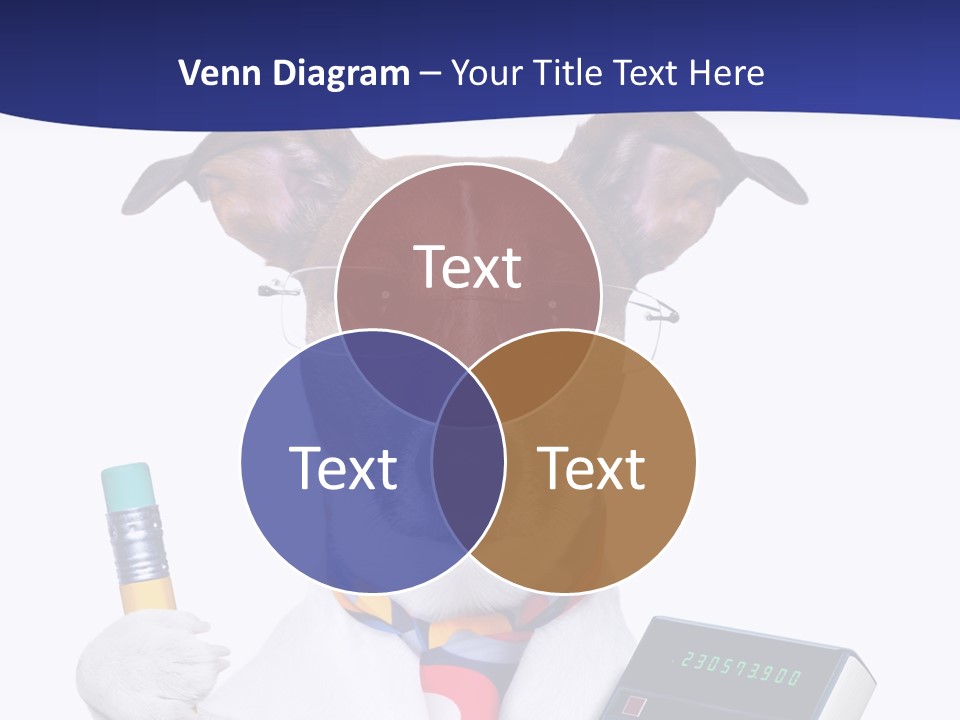 Verwaltung Humor Number PowerPoint Template