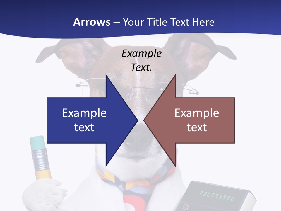 Verwaltung Humor Number PowerPoint Template