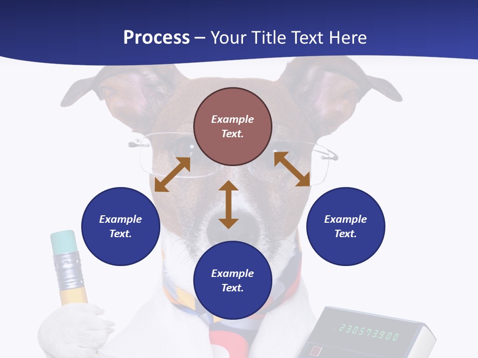 Verwaltung Humor Number PowerPoint Template