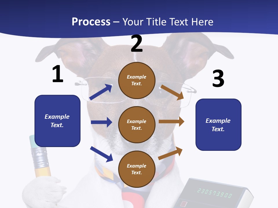 Verwaltung Humor Number PowerPoint Template