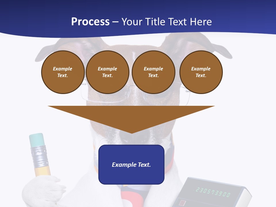 Verwaltung Humor Number PowerPoint Template