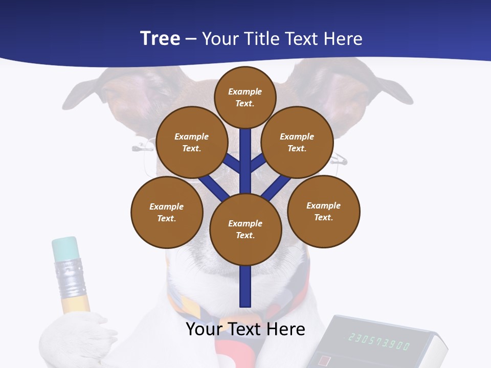 Verwaltung Humor Number PowerPoint Template