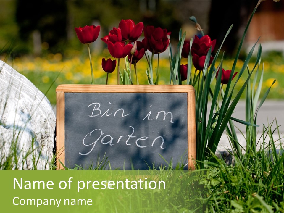 Textur Jahreszeitlich Steine PowerPoint Template