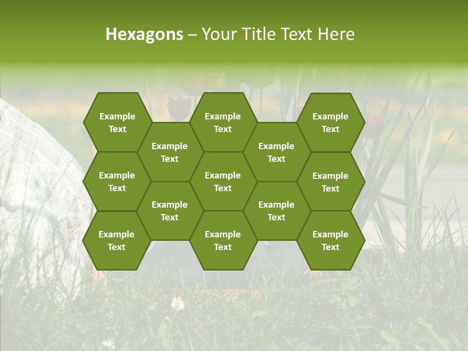 Textur Jahreszeitlich Steine PowerPoint Template