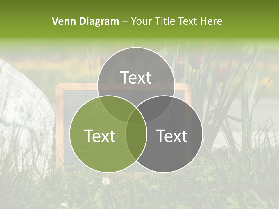 Textur Jahreszeitlich Steine PowerPoint Template