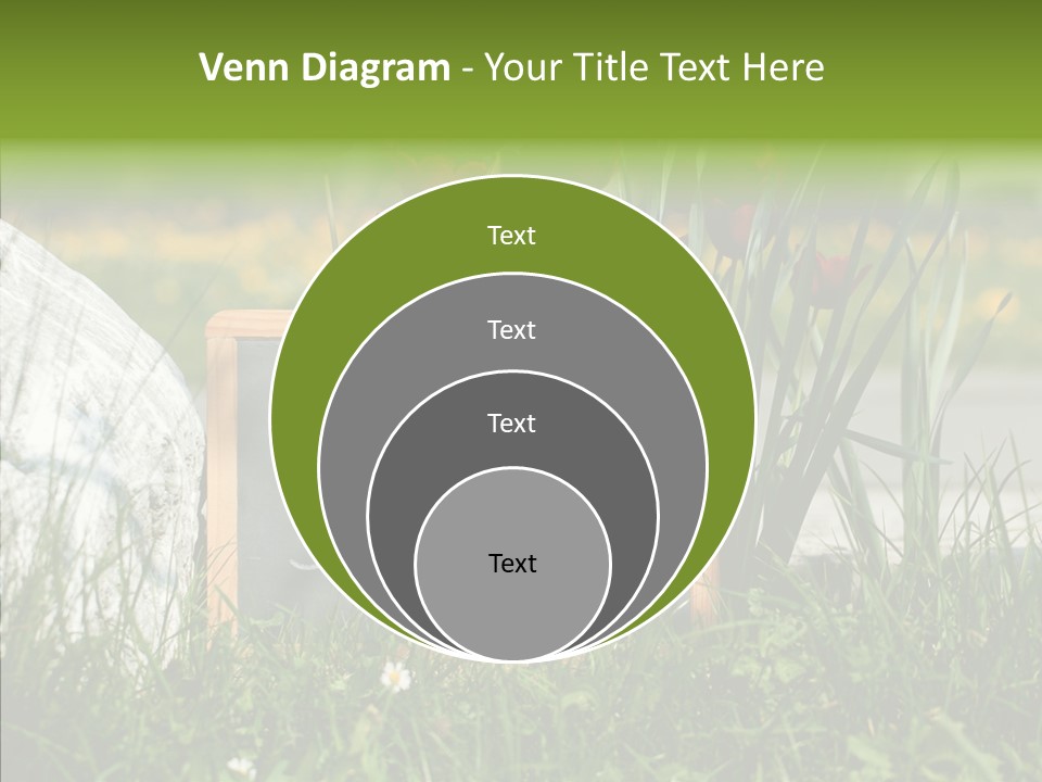 Textur Jahreszeitlich Steine PowerPoint Template