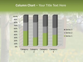 Schiefertafel Hobby Garten PowerPoint Template