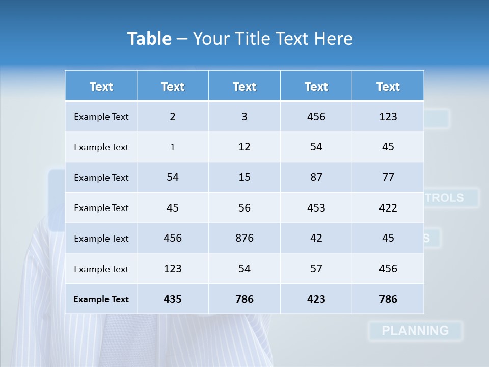 Controlling Controll Project PowerPoint Template