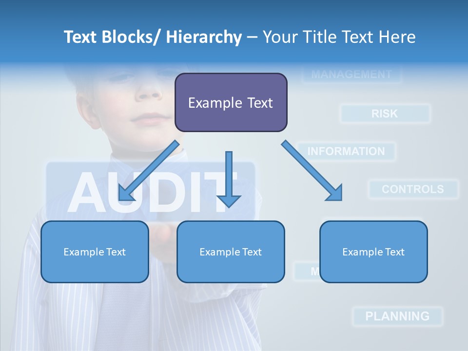 Controlling Controll Project PowerPoint Template