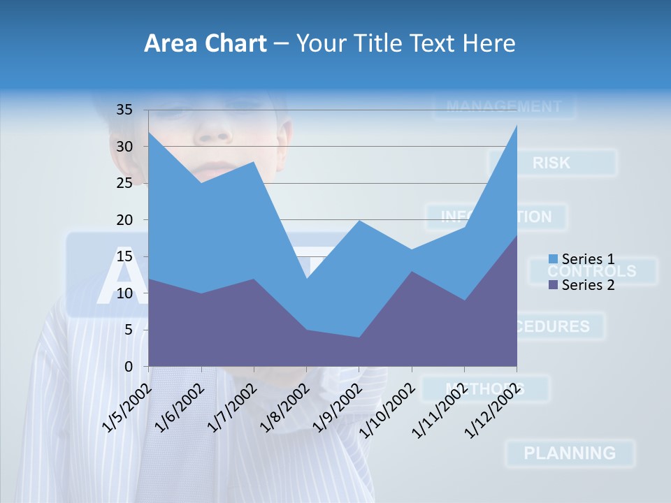 Controlling Controll Project PowerPoint Template