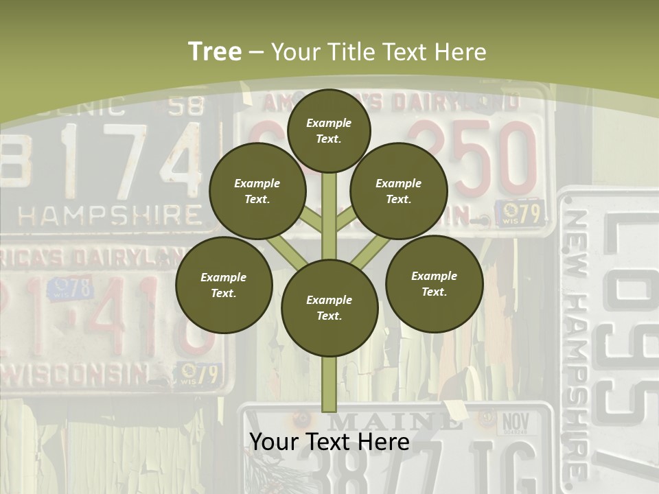 Yellowed Massachusetts Maine PowerPoint Template