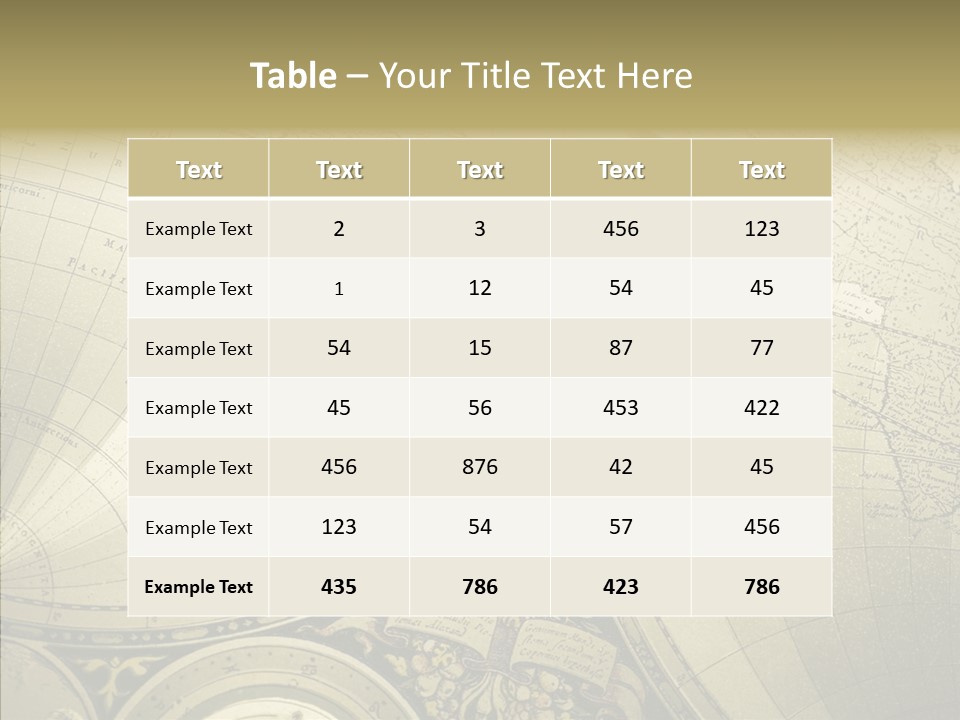 Navigation Plan Worldwide PowerPoint Template