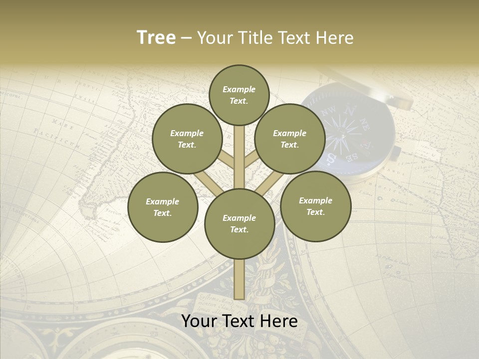 Navigation Plan Worldwide PowerPoint Template