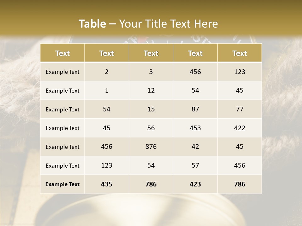 Accuracy Travelling Communication PowerPoint Template