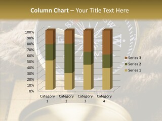 Accuracy Travelling Communication PowerPoint Template