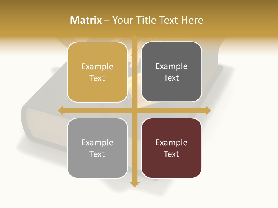 Measurement Fairness Book PowerPoint Template