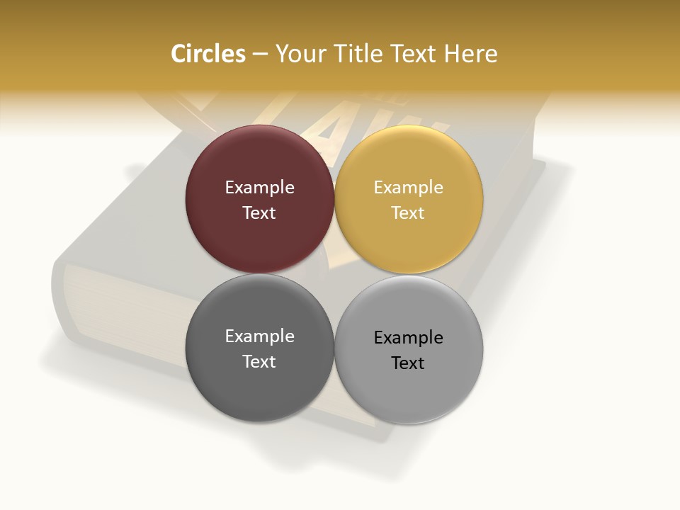 Measurement Fairness Book PowerPoint Template